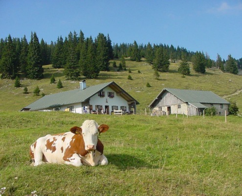 Hofbauern-Alm