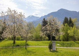 römerstein-staudach-egerndach-rs-1