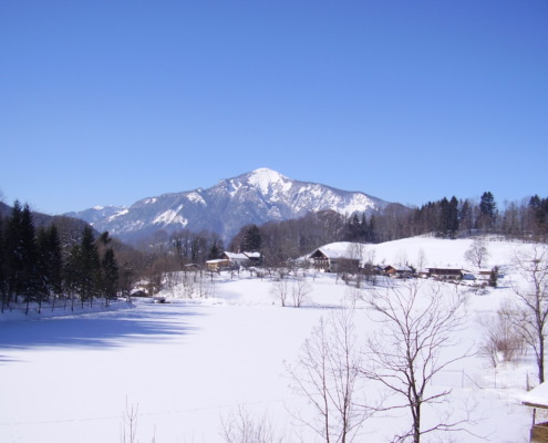 Winter am Wössner See