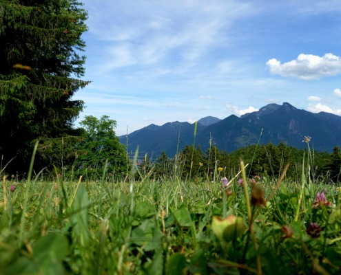 Auf dem Weg zur Rachelalm