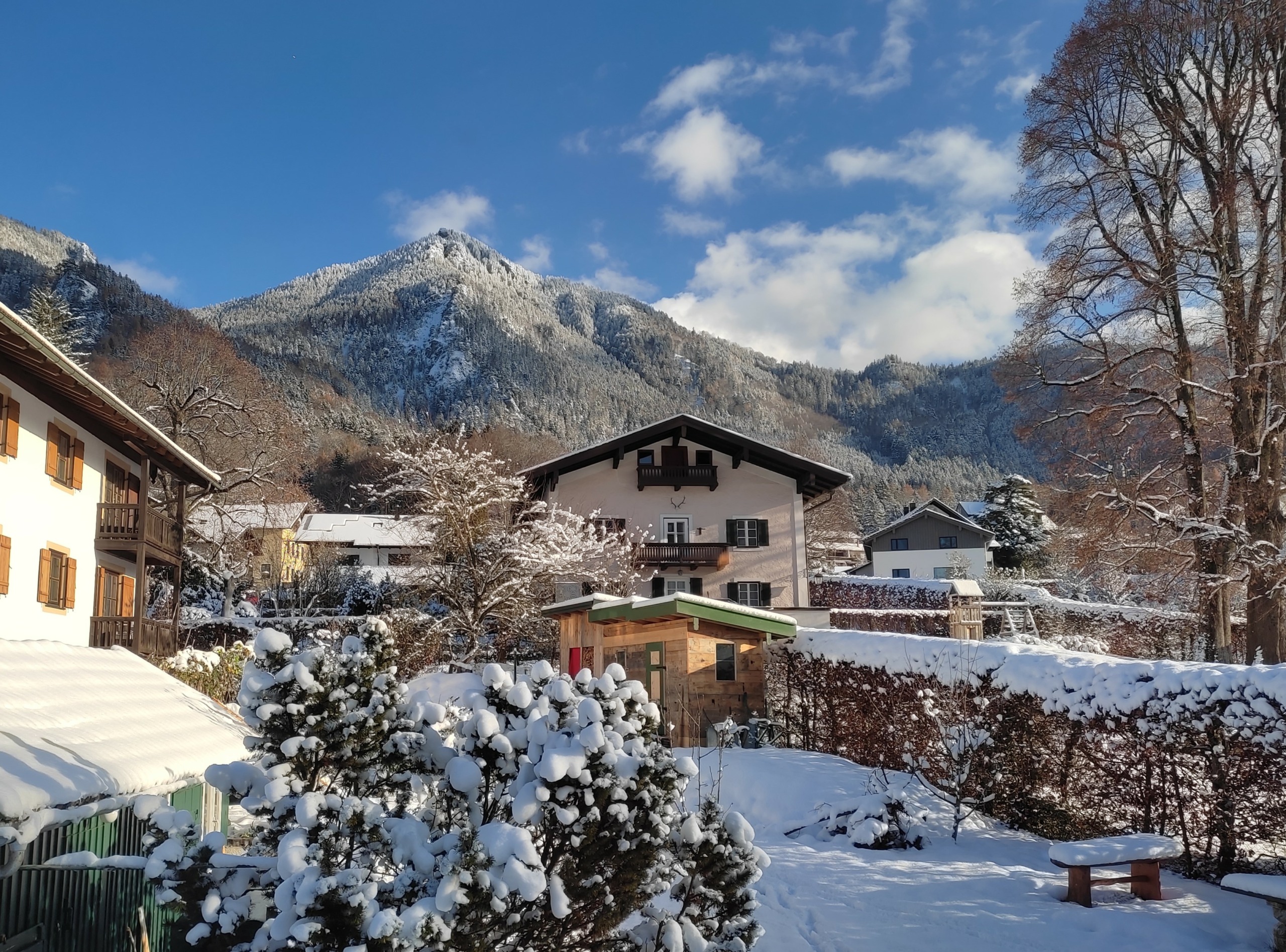 Der Garten im Winter