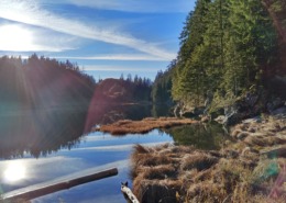 Taubensee