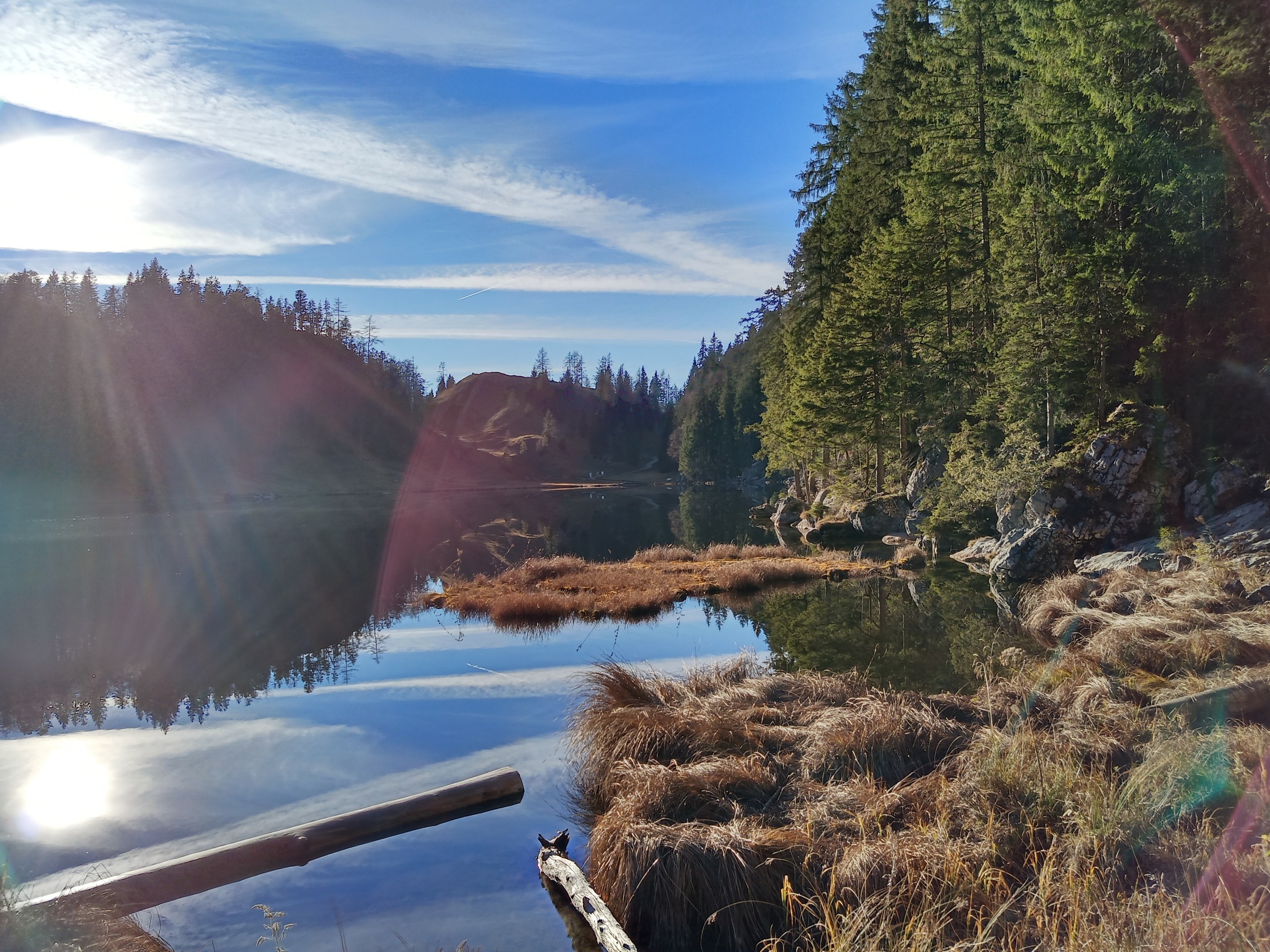 Taubensee