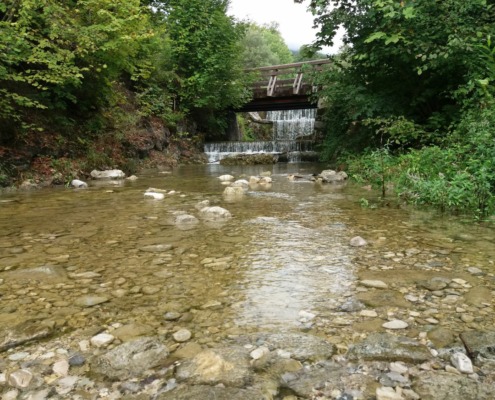 Bachlauf Kaltenbach