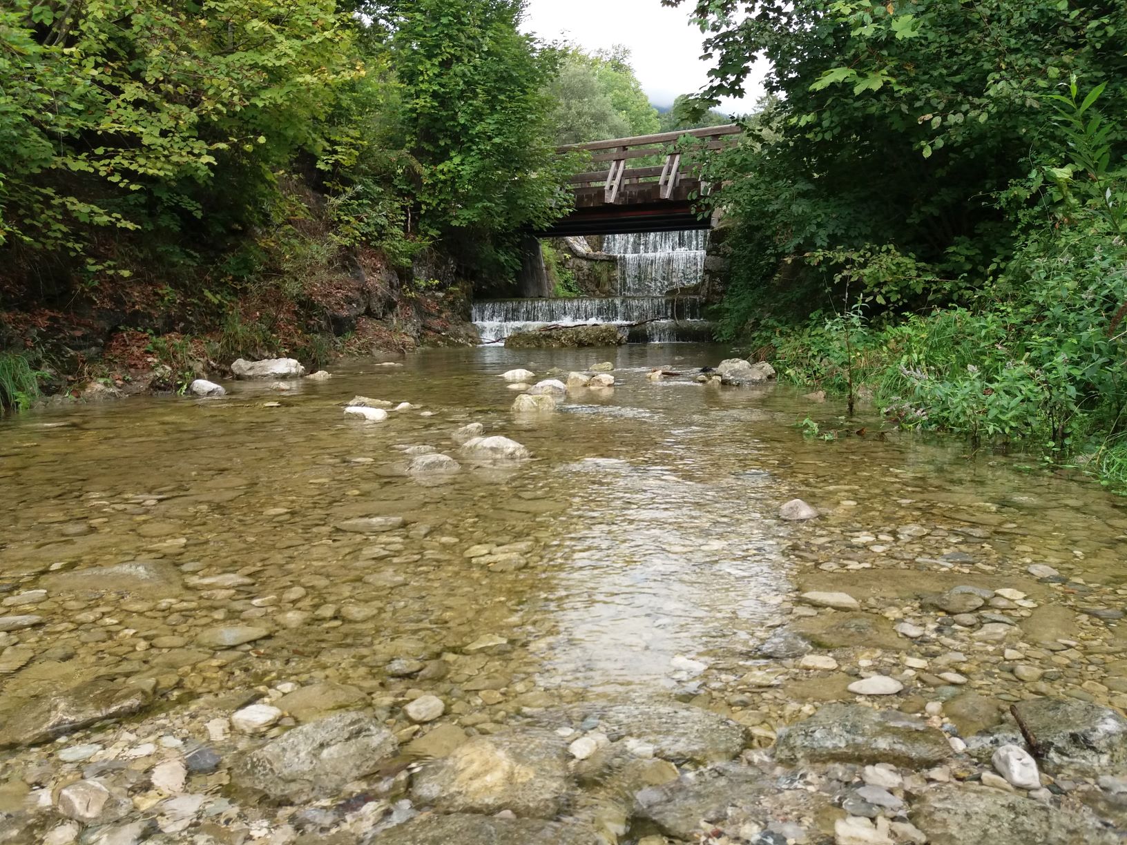 Bachlauf Kaltenbach