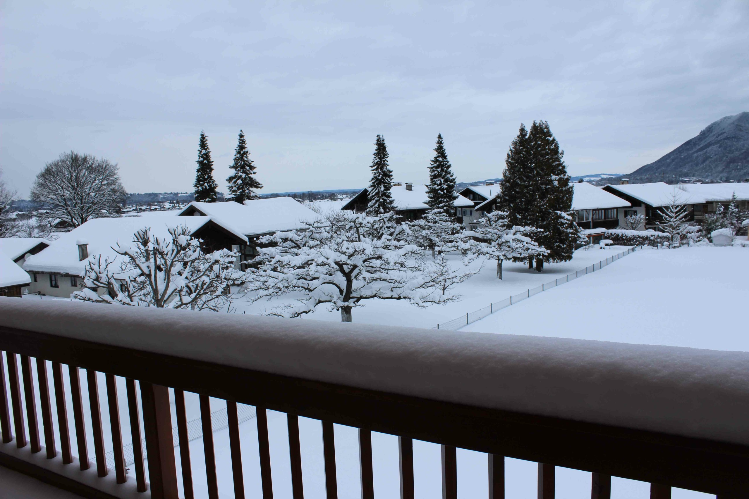 Ausblick im Winter