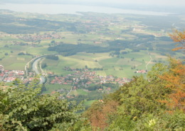 Umgebung