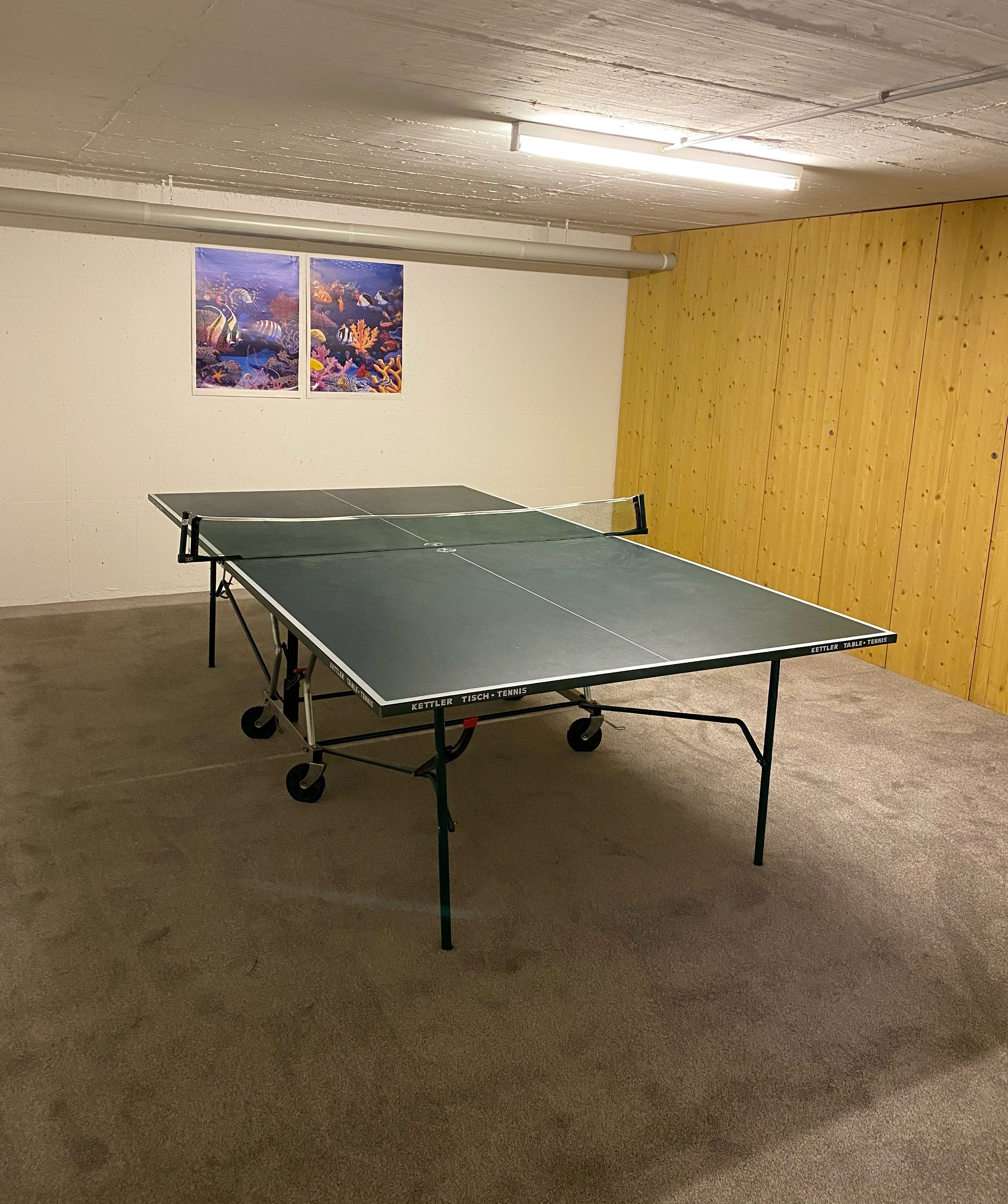 Tischtennisplatte im Keller