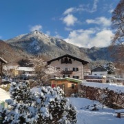 Der Garten im Winter