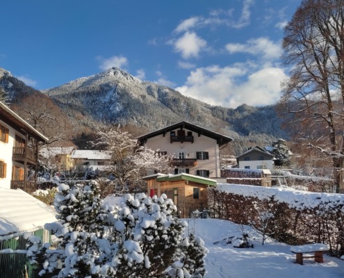 Der Garten im Winter