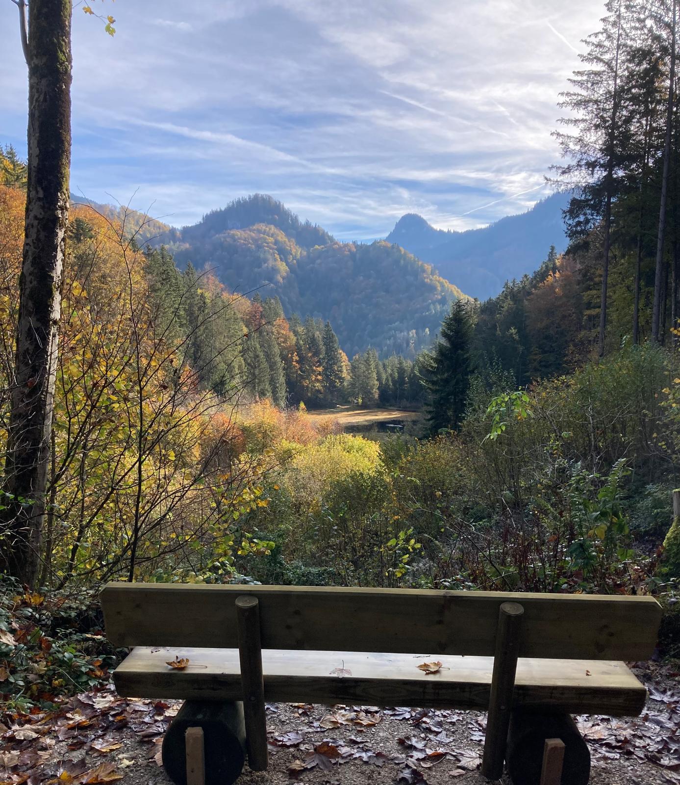 Eglsee (nur 5 Minuten von Ferienhaus entfernt)