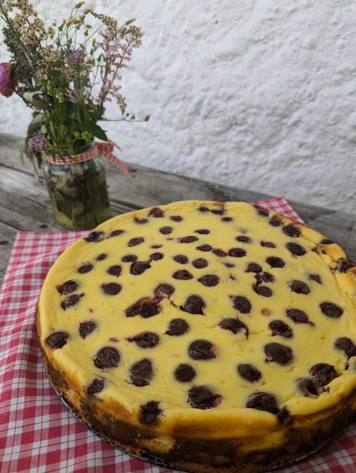 Kirsch-Quark-Kuchen