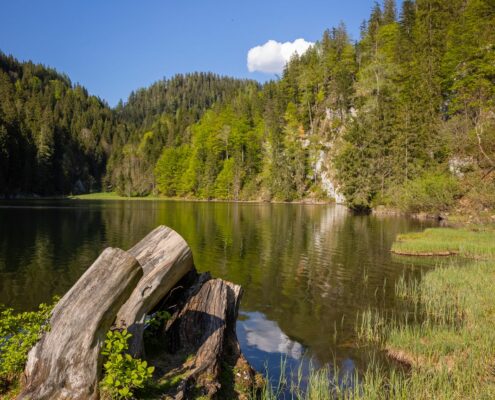 Taubensee im Sommer