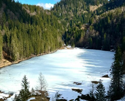 Taubensee im Winter