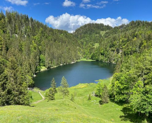 Taubensee, das blaue Auge des Chiemgaus