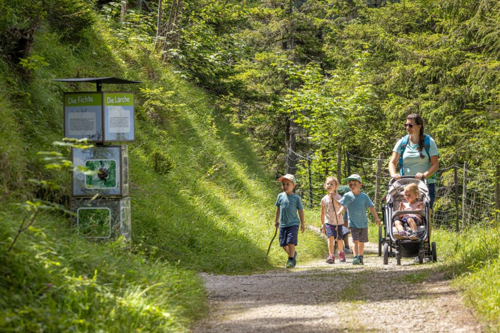 Bergwalderlebnisweg, Marquartstein im Achental