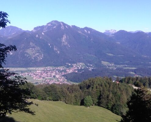 ... unsere Herde genießt frische Bergluft mit Seeblick auf der Alm ...