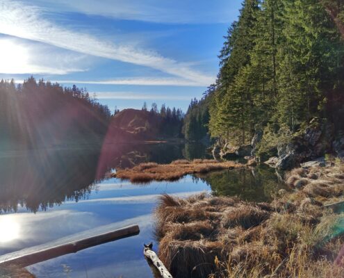 Taubensee