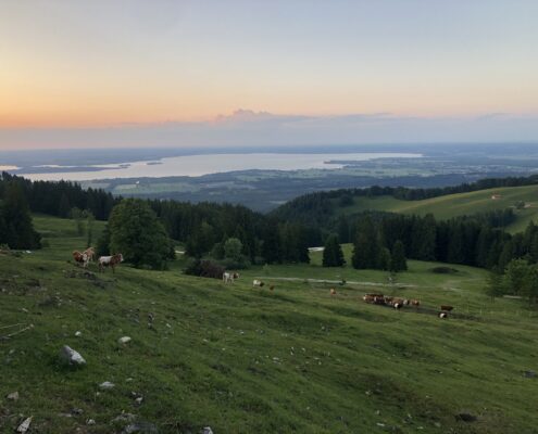 ... auf der Hochplatte ...