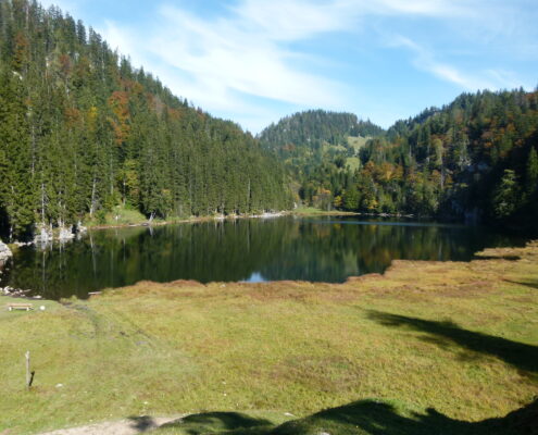 ... Herbstwanderung zum Taubensee ( 1138m )...