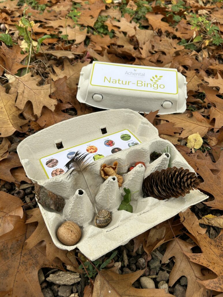 Natur-Bingo