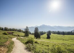 wanderweg-hochplatte-marquartstein