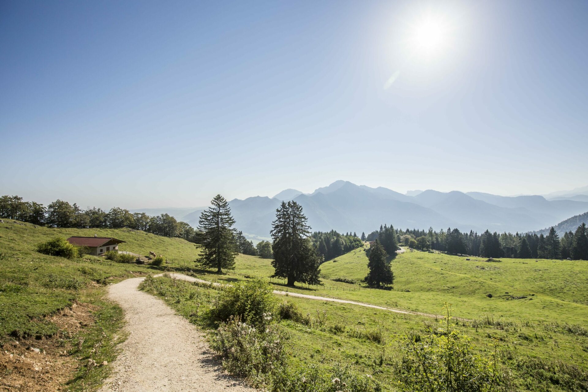 wanderweg-hochplatte-marquartstein