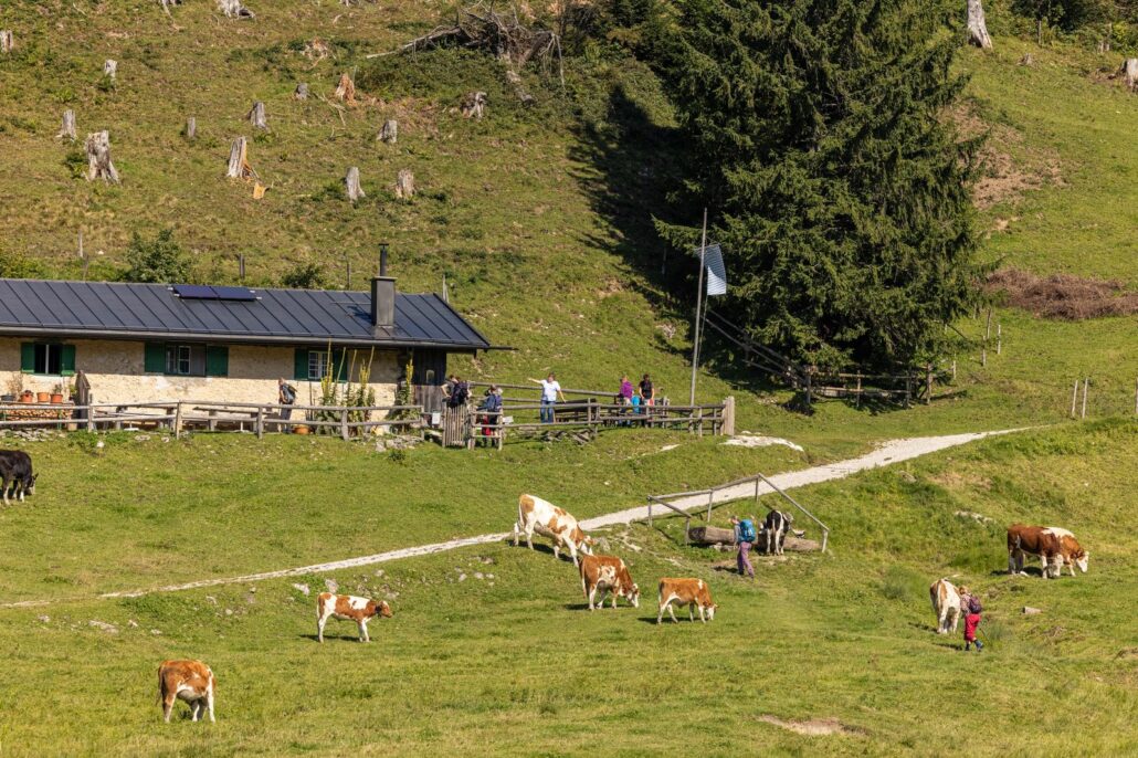 Alm, Achental Frühling